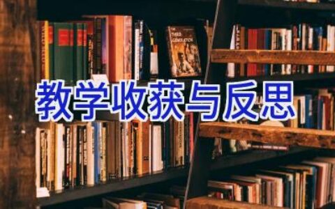教学收获与反思