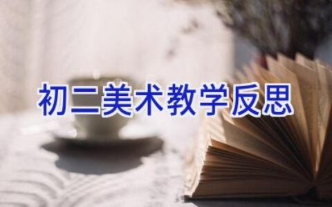 初二美术教学反思