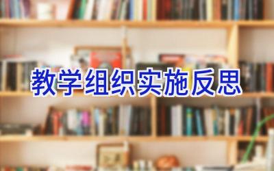 教学组织实施反思