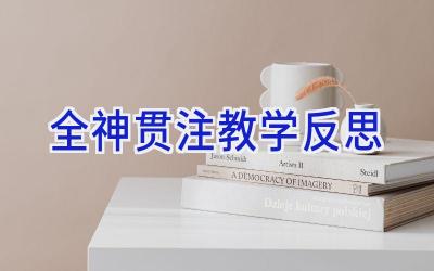 全神贯注教学反思