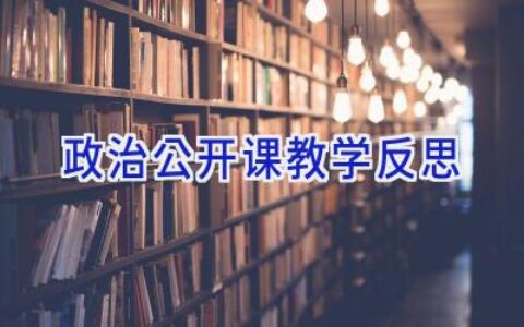 政治公开课教学反思