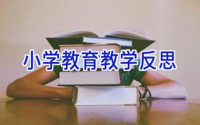 小学教育教学反思