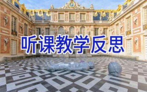 听课教学反思