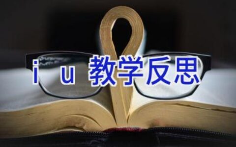 iu教学反思