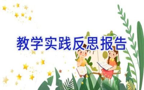 教学实践反思报告