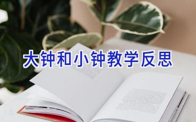 大钟和小钟教学反思