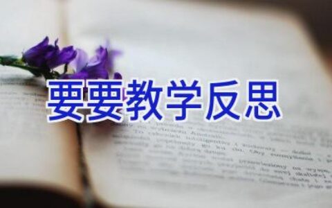 要要教学反思