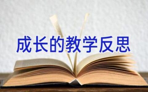 成长的教学反思