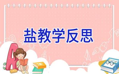 盐教学反思