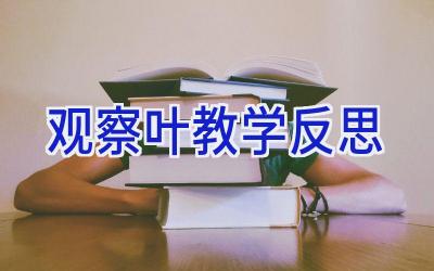 观察叶教学反思