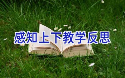 感知上下教学反思
