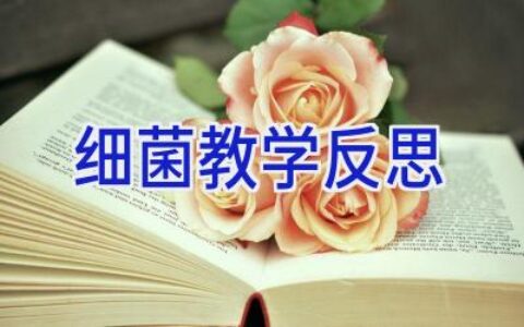 细菌教学反思