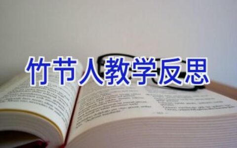 竹节人教学反思