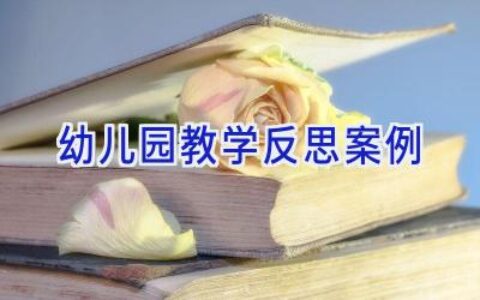 幼儿园教学反思案例