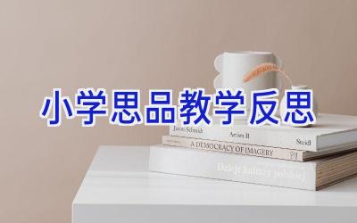 小学思品教学反思