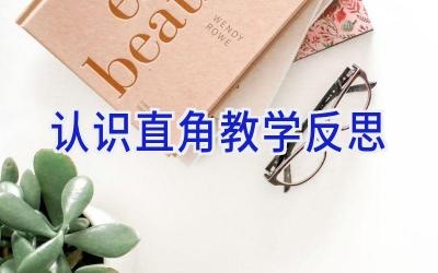 认识直角教学反思