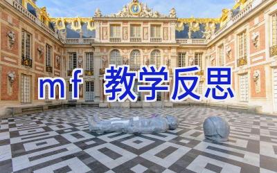 mf教学反思