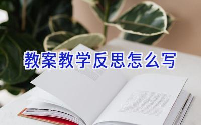教案教学反思怎么写