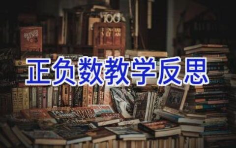 正负数教学反思