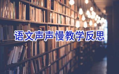 语文声声慢教学反思
