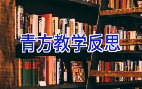 青方教学反思