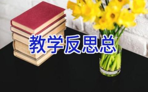 教学反思总