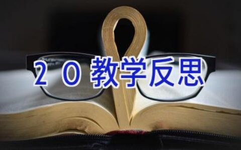 2.0教学反思