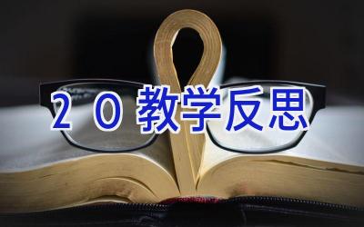 2.0教学反思