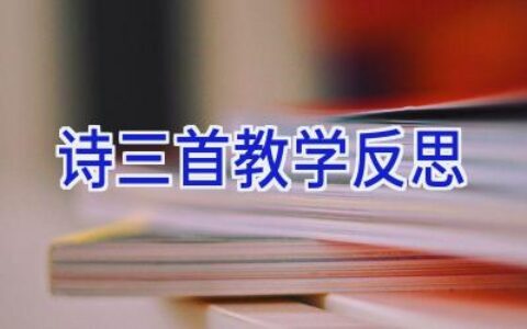 诗三首教学反思