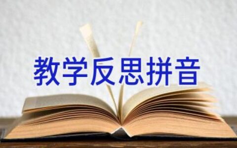 教学反思拼音