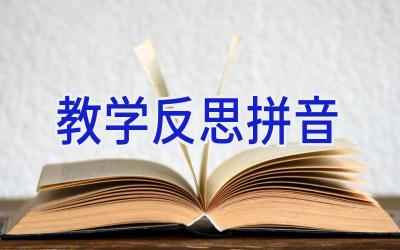 教学反思拼音
