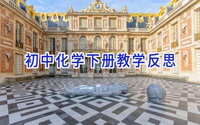 初中化学下册教学反思