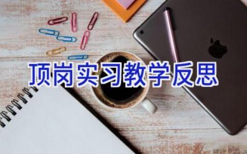 顶岗实习教学反思