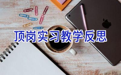 顶岗实习教学反思