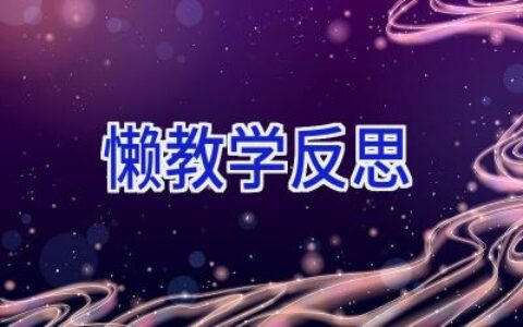 懒教学反思
