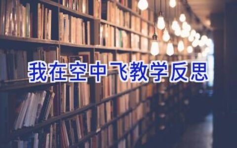 我在空中飞教学反思