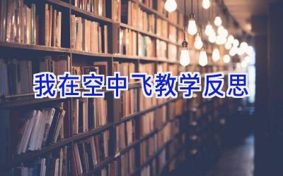 我在空中飞教学反思