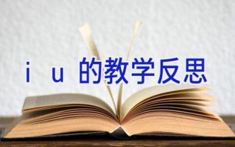 iu的教学反思