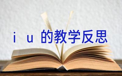 iu的教学反思
