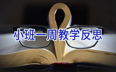 小班一周教学反思
