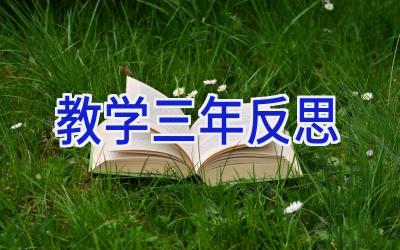 教学三年反思