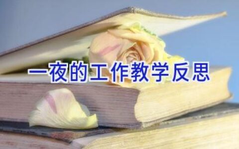一夜的工作教学反思