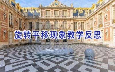 旋转平移现象教学反思