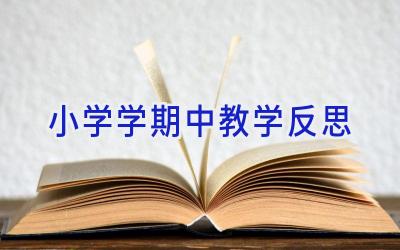 小学学期中教学反思