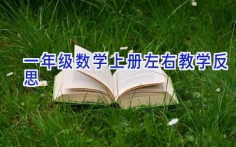 一年级数学上册左右教学反思