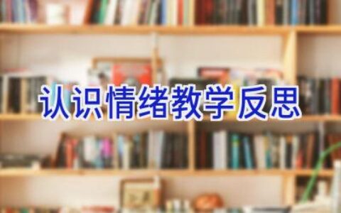 认识情绪教学反思