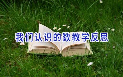 我们认识的数教学反思