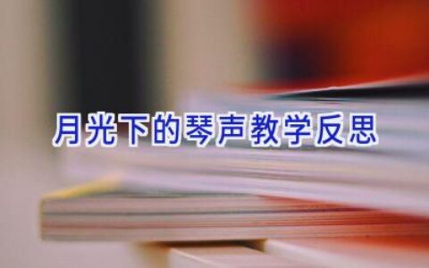 月光下的琴声教学反思