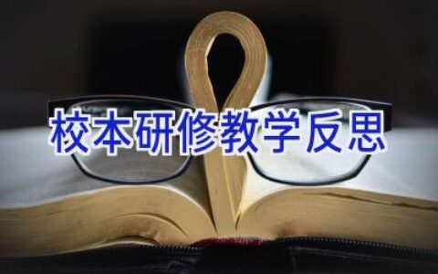 校本研修教学反思