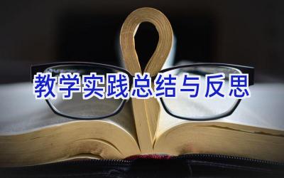 教学实践总结与反思